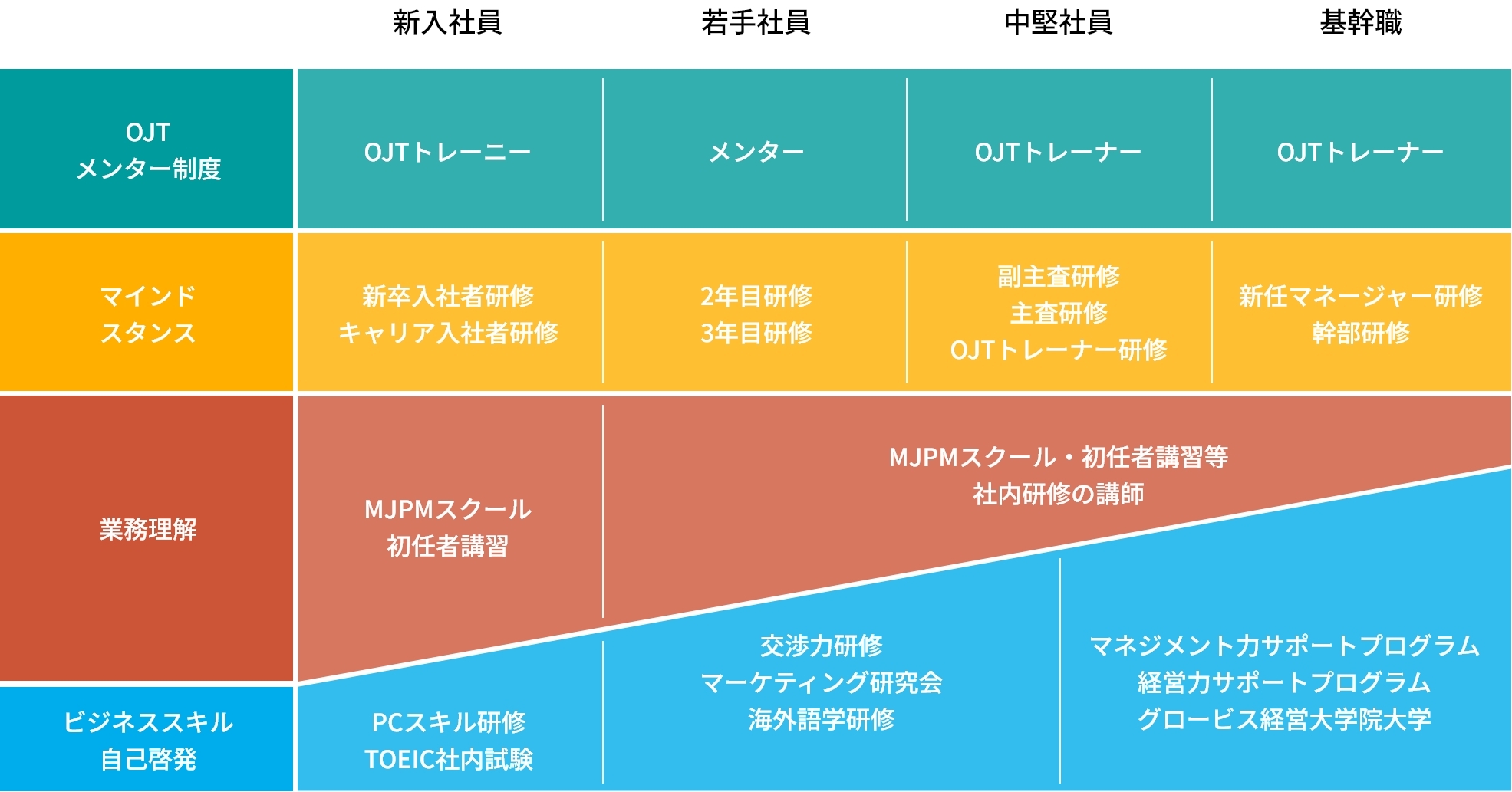 図版／教育・研修制度